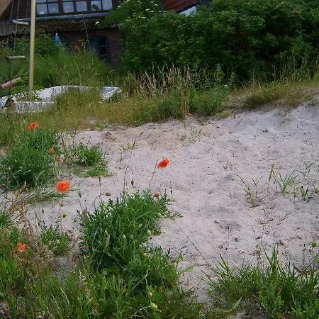 Ferienhaus In Der Morgensonne *