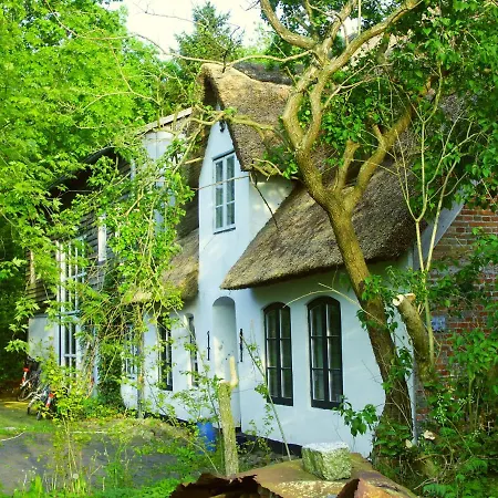 Ferienhaus In Der Morgensonne *