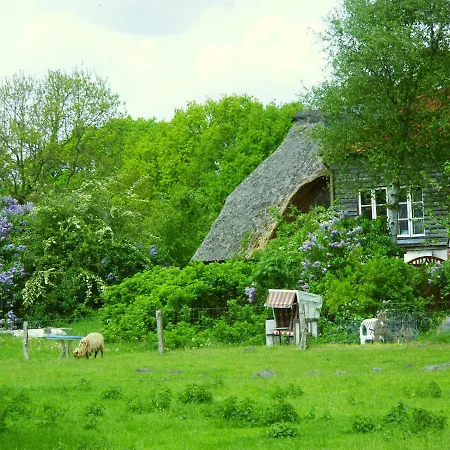 Ferienhaus In Der Morgensonne *