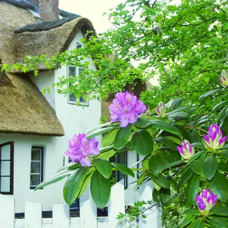 Ferienhaus In Der Morgensonne * Bargum